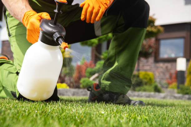 Best Pest Control Cost  in Lmar, DE