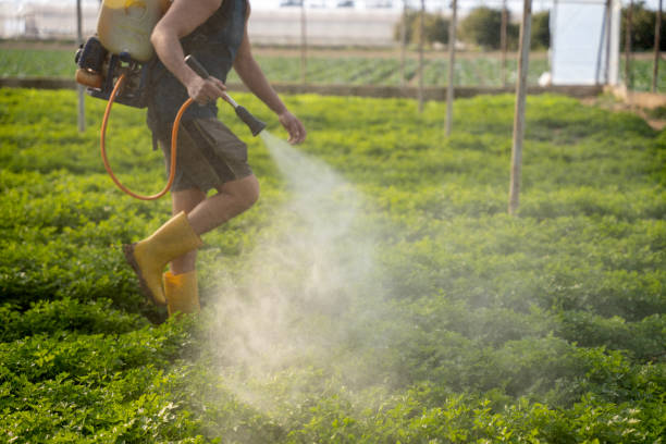 Best Exterminator Services  in Lmar, DE