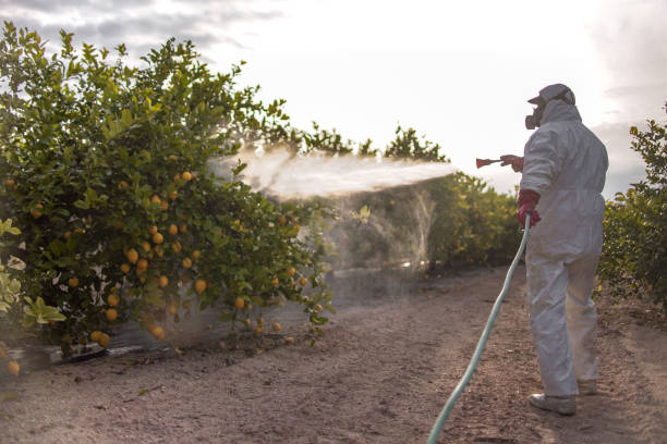 Best Pest Removal Services  in Lmar, DE