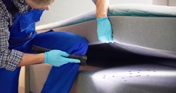 Trusted Delmar, DE Pest Control Experts