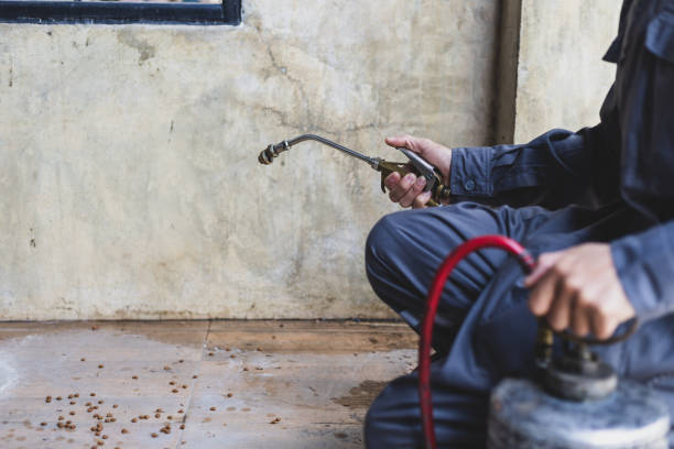 Best Residential Pest Control  in Lmar, DE